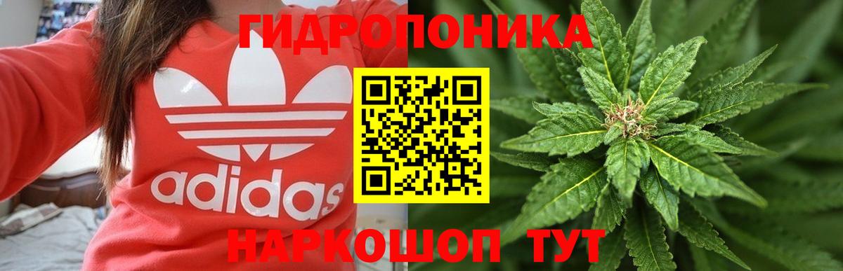 Марихуана план Курчатов